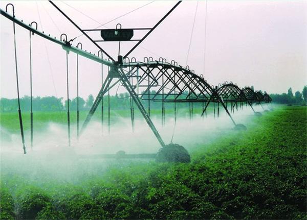 农业与新能源领域合作潜力,中国—东盟技术转移中心与柬埔寨国家科技